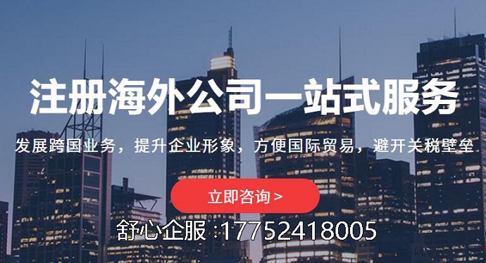 海外成立子公司